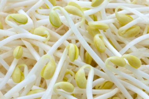 Giải độc, làm đẹp từ đậu xanh ảnh 1