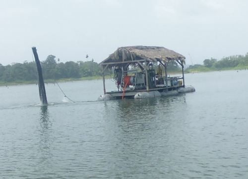 Theo chân “lâm tặc” xem khai thác gỗ dưới lòng hồ ở Panama ảnh 2