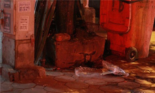 Nơi phát hiện xác bé gái sơ sinh