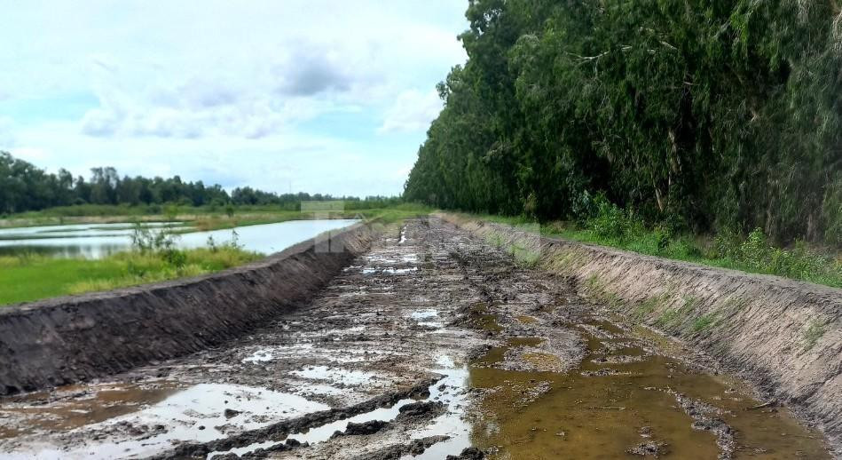 Sở VHTT&amp;DL tỉnh An Giang kiến nghị UBND tỉnh An Giang giao UBND huyện Tịnh Biên kiểm tra, xử lí vi phạm trong lĩnh vực đất đai đối với dự án sân đua bò này.