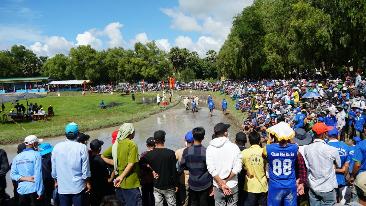 Sân đua bò xã Vĩnh Trung (huyện Tịnh Biên, An Giang) thu hút hàng chục nghìn lượt khán giả đến xem và cổ vũ nồng nhiệt cho các "tuyển thủ".