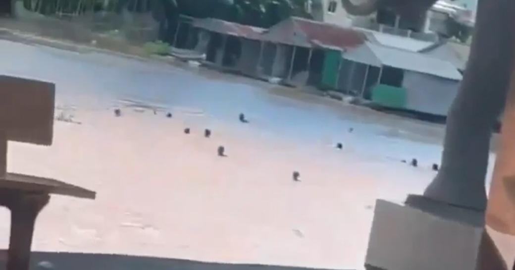 Các đối tượng bơi qua sông Bình Di nhập cảnh trái phép về Việt Nam.