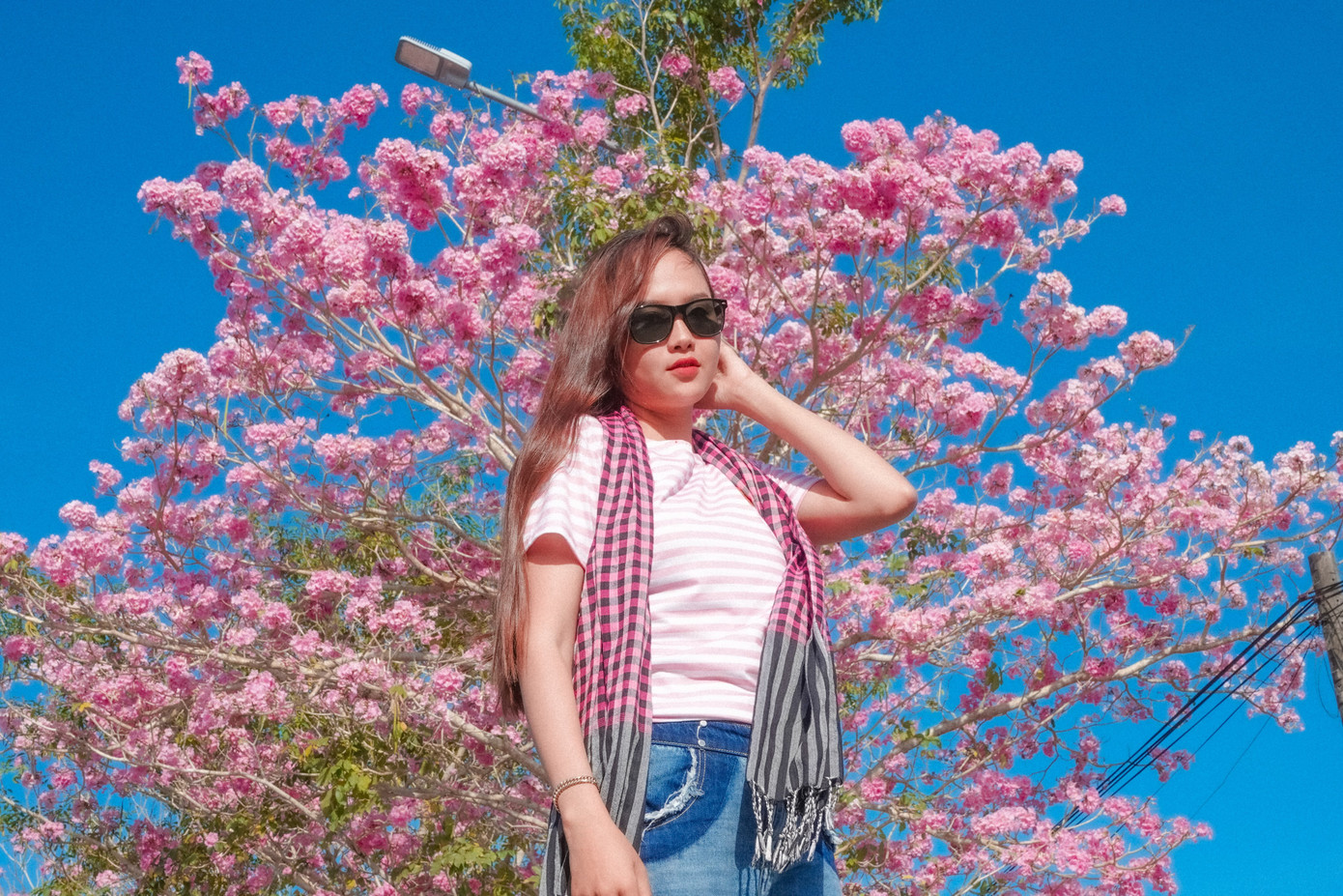 Cùng bạn bè đến chụp ảnh tại đường hoa kèn hồng, bạn Nguyễn Trinh (18 tuổi, ngụ tỉnh Sóc Trăng) cho biết, thấy mọi người đến chụp hình đường hoa kèn hồng đăng trên mạng xã hội, cô và các bạn cũng tìm đến để kịp bắt trend: “Em không ngờ đẹp đến vậy. Một màu hồng ngọt ngào, thơ mộng; khi có gió, những bông hoa cũng cuốn theo rơi nhẹ nhàng tạo nên khung cảnh vô cùng lãng mạn, khiến tụi em rất thích, tranh thủ chụp thật nhiều ảnh để lưu lại khoảnh khắc tuổi 18 tươi đẹp”, Trinh chia sẻ. Cùng bạn bè đến chụp ảnh tại đường hoa kèn hồng, bạn Nguyễn Trinh (18 tuổi, ngụ tỉnh Sóc Trăng) cho biết, thấy mọi người đến chụp hình đường hoa kèn hồng đăng trên mạng xã hội, cô và các bạn cũng tìm đến để kịp bắt trend: “Em không ngờ đẹp đến vậy. Một màu hồng ngọt ngào, thơ mộng; khi có gió, những bông hoa cũng cuốn theo rơi nhẹ nhàng tạo nên khung cảnh vô cùng lãng mạn, khiến tụi em rất thích, tranh thủ chụp thật nhiều ảnh để lưu lại khoảnh khắc tuổi 18 tươi đẹp”, Trinh chia sẻ.