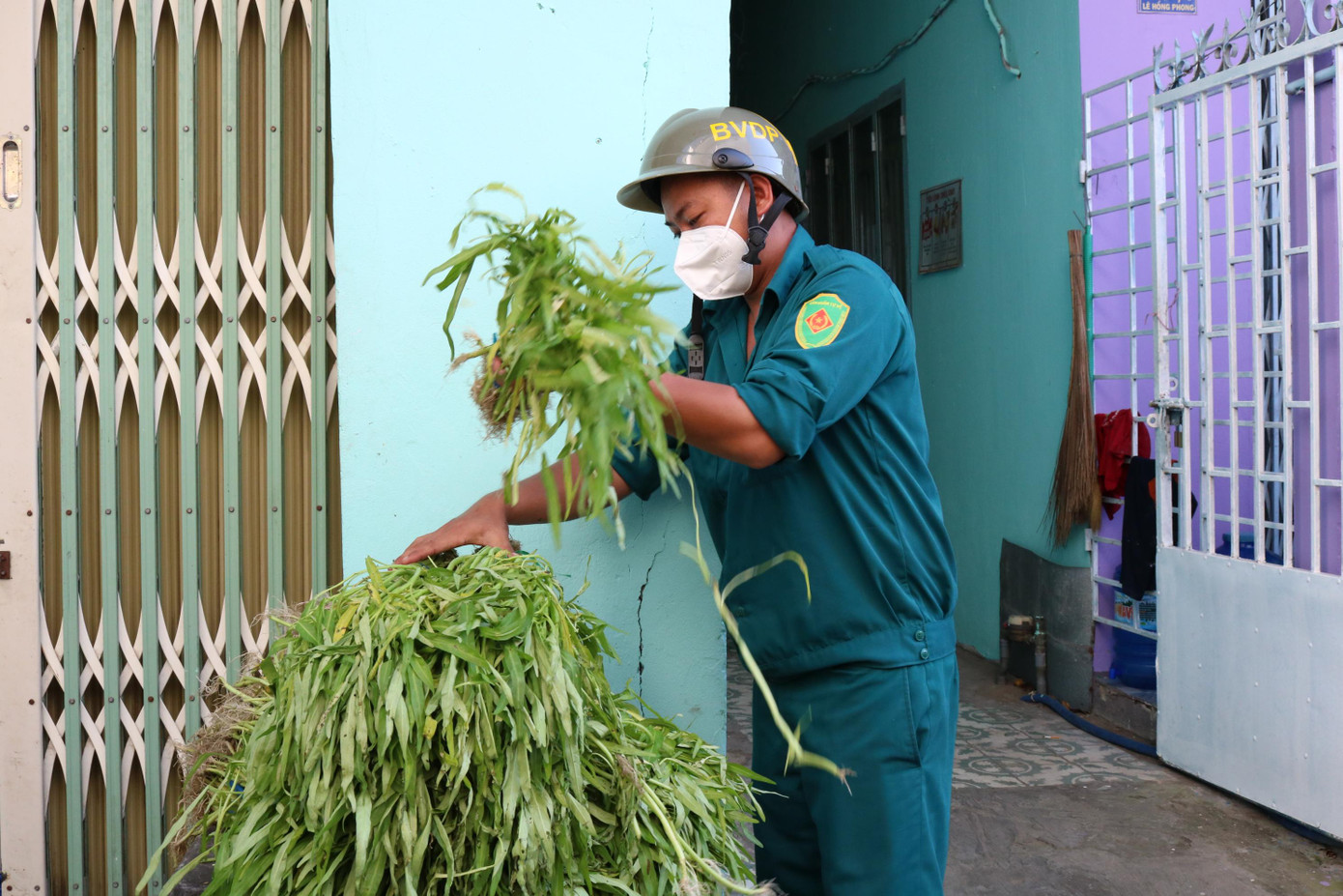 Rau được tập kết trước đường ra vào để người dân đến lấy - Ảnh: Kim Hà.
