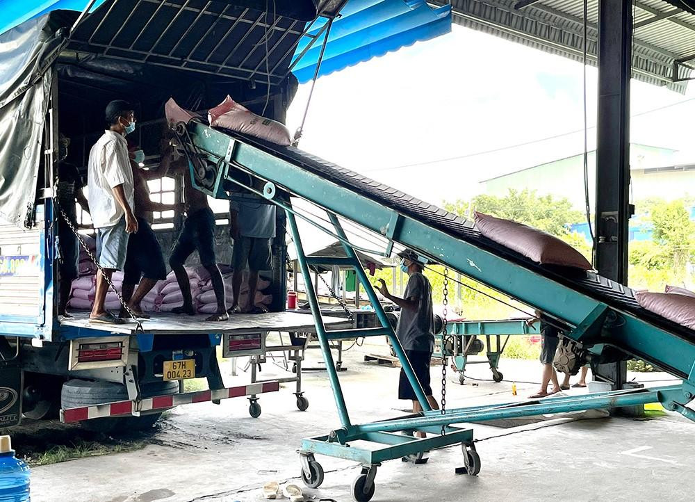 Vận chuyển gạo lên xe.