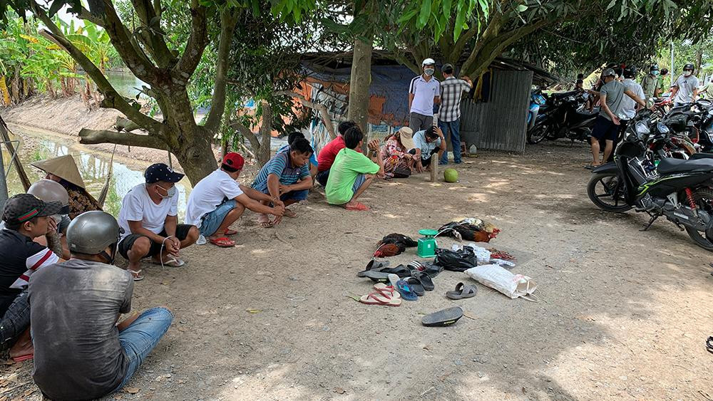 Hiện trường trường gà bị triệt phá.