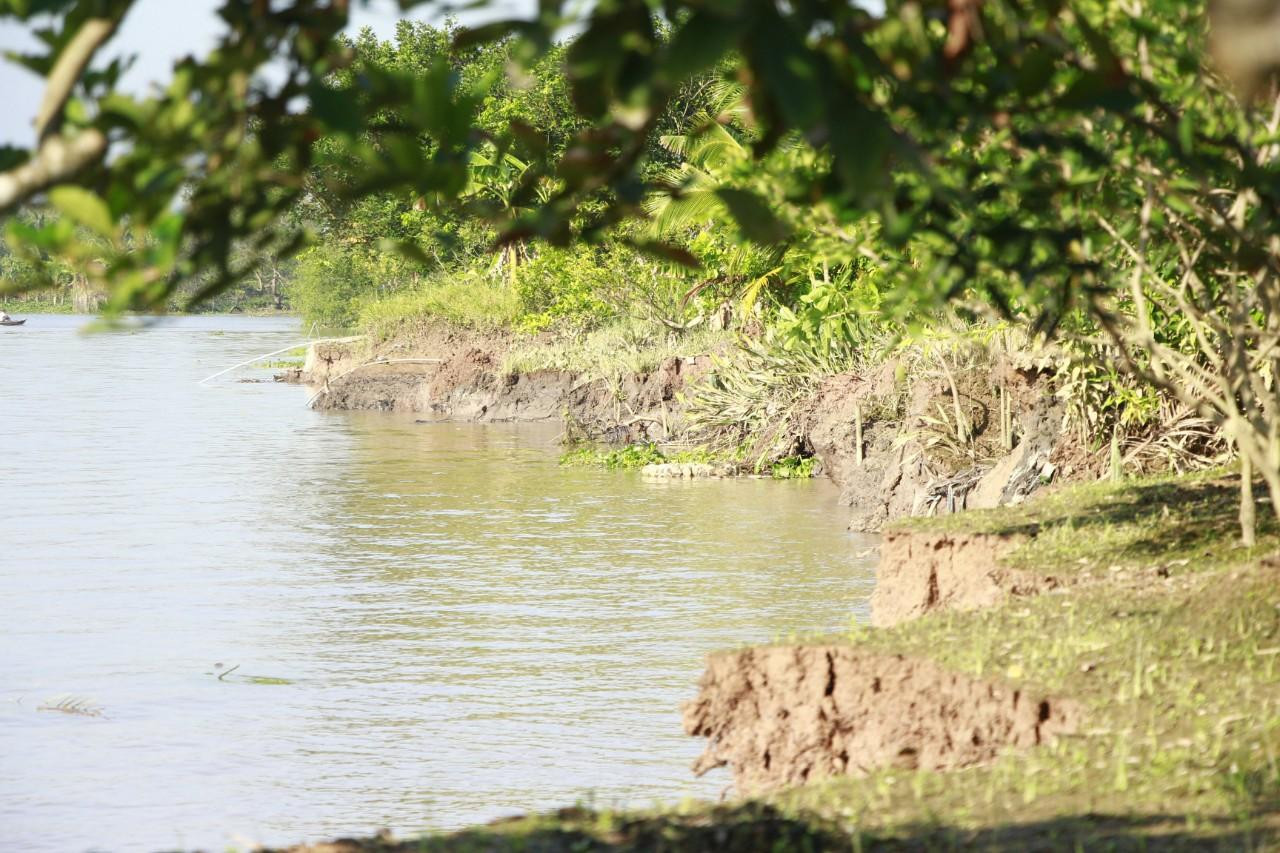 Hàng chục ha vườn cây ăn trái rơi vào miệng "hà bá". Hàng chục ha vườn cây ăn trái rơi vào miệng "hà bá".