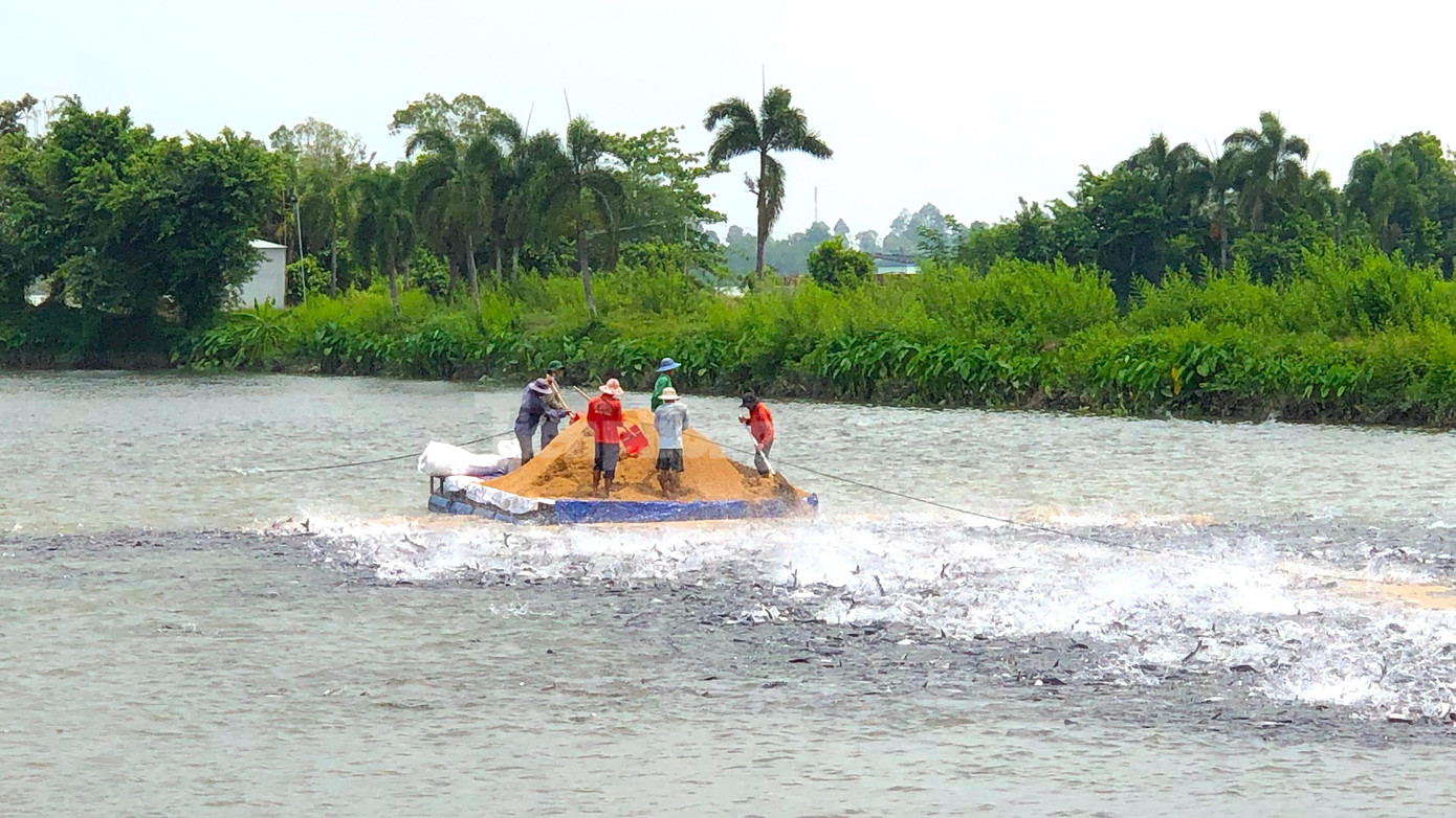 Kim ngạch xuất khẩu tới cuối tháng 11 đã cán mốc 10 tỉ USD - Ảnh: Kim Hà.