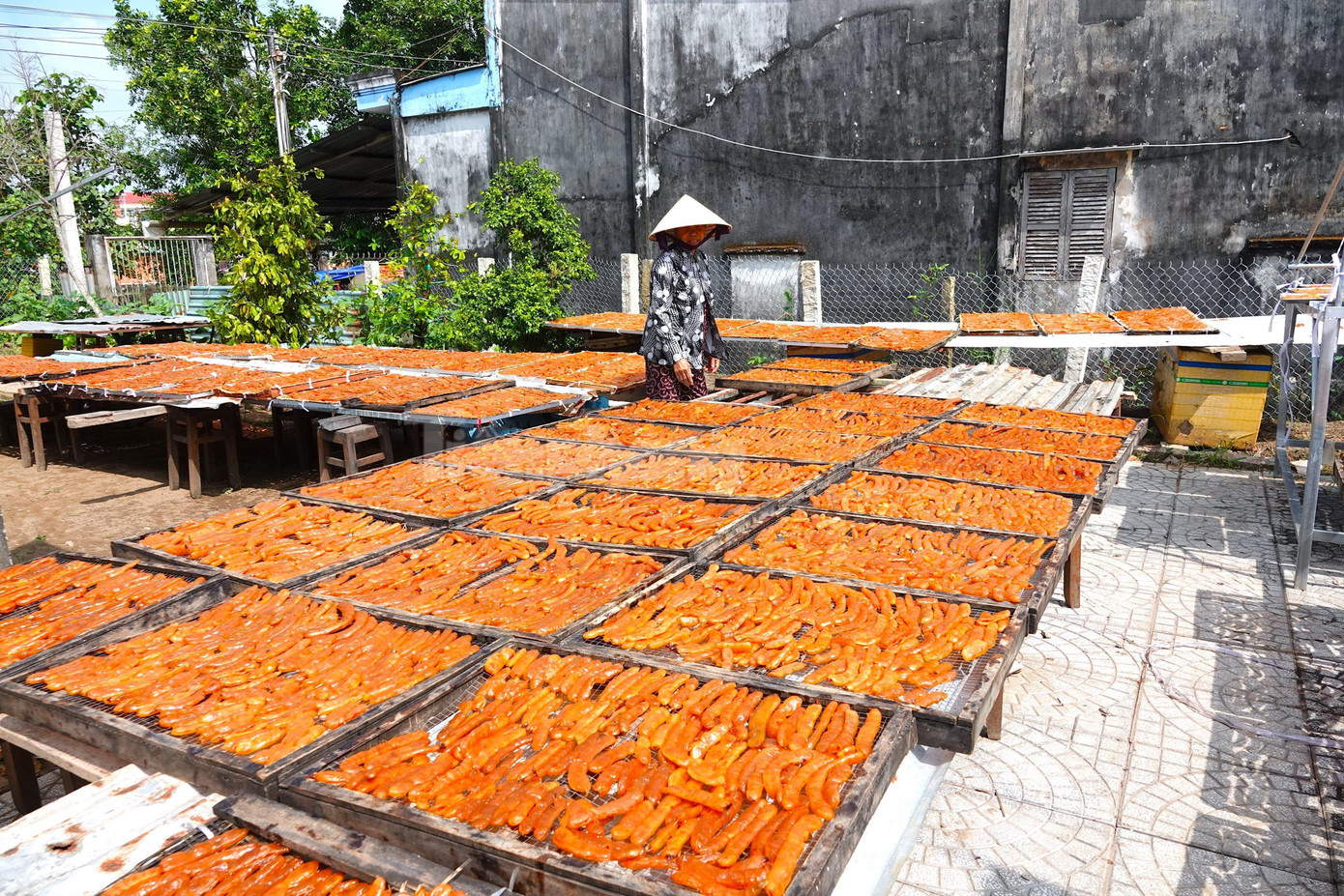 Bất kỳ loại mứt nào cũng phải phơi trực tiếp dưới ánh nắng gắt liên tục trong nhiều ngày liền. Sau đó, tiếp tục đem phơi trong nhà kính, mứt mới ngon (Ảnh: Kim Hà).