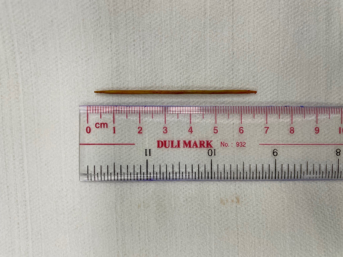 Chiếc tăm tre được lấy ra khỏi cơ thể bệnh nhân.