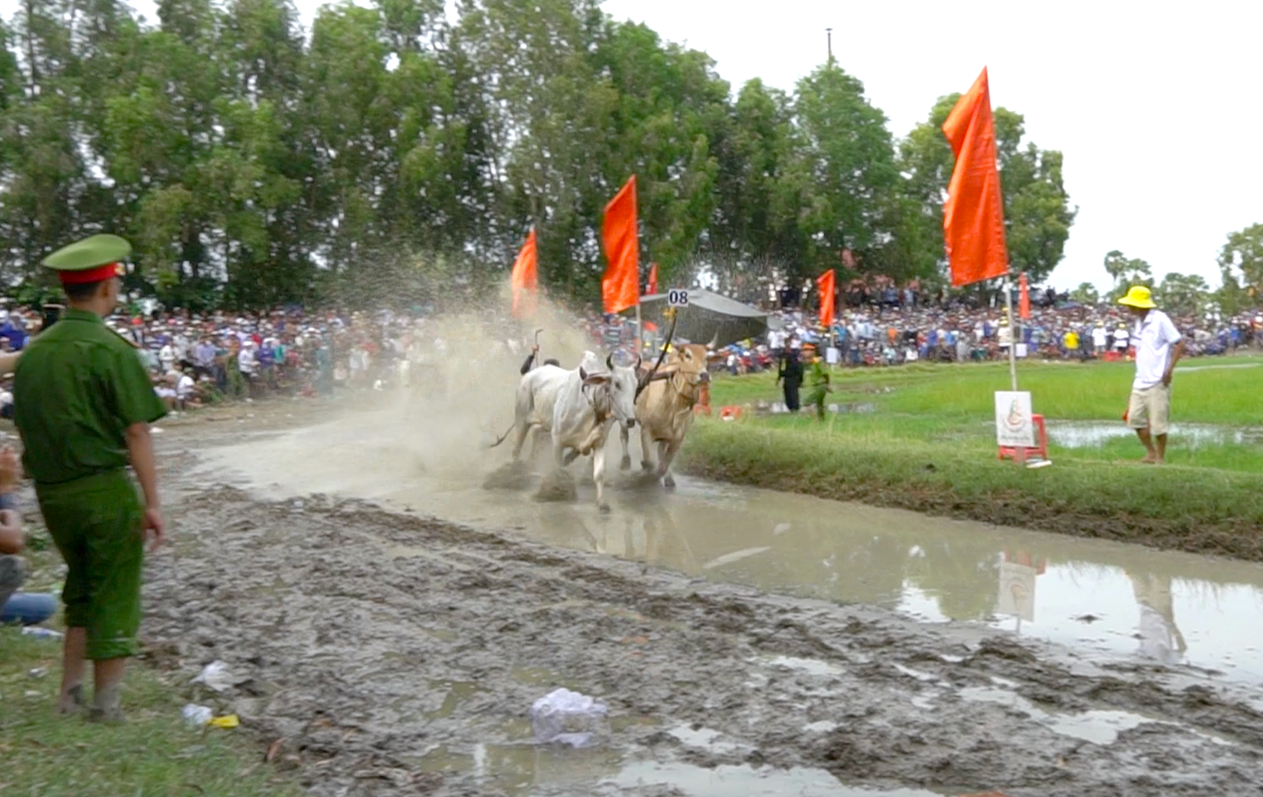 Vượt qua 55 đối thủ, cặp bò số 8 đã xuất sắc giành giải nhất năm nay.