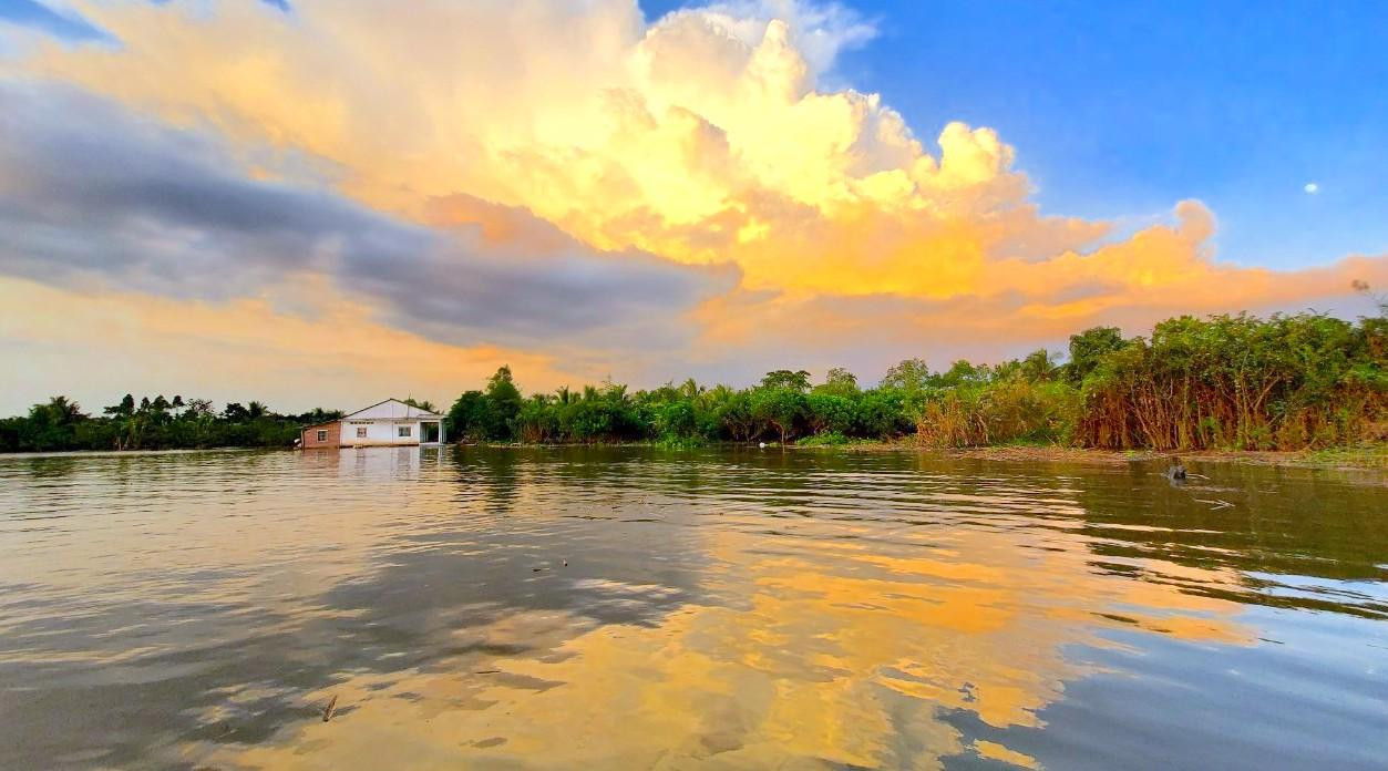 Toàn cảnh khu vực sạt lở tại ấp Bình Thuận 1, xã Hoà Ninh, huyện Long Hồ, tỉnh Vĩnh Long - Ảnh: Kim Hà. Toàn cảnh khu vực sạt lở tại ấp Bình Thuận 1, xã Hoà Ninh, huyện Long Hồ, tỉnh Vĩnh Long - Ảnh: Kim Hà.