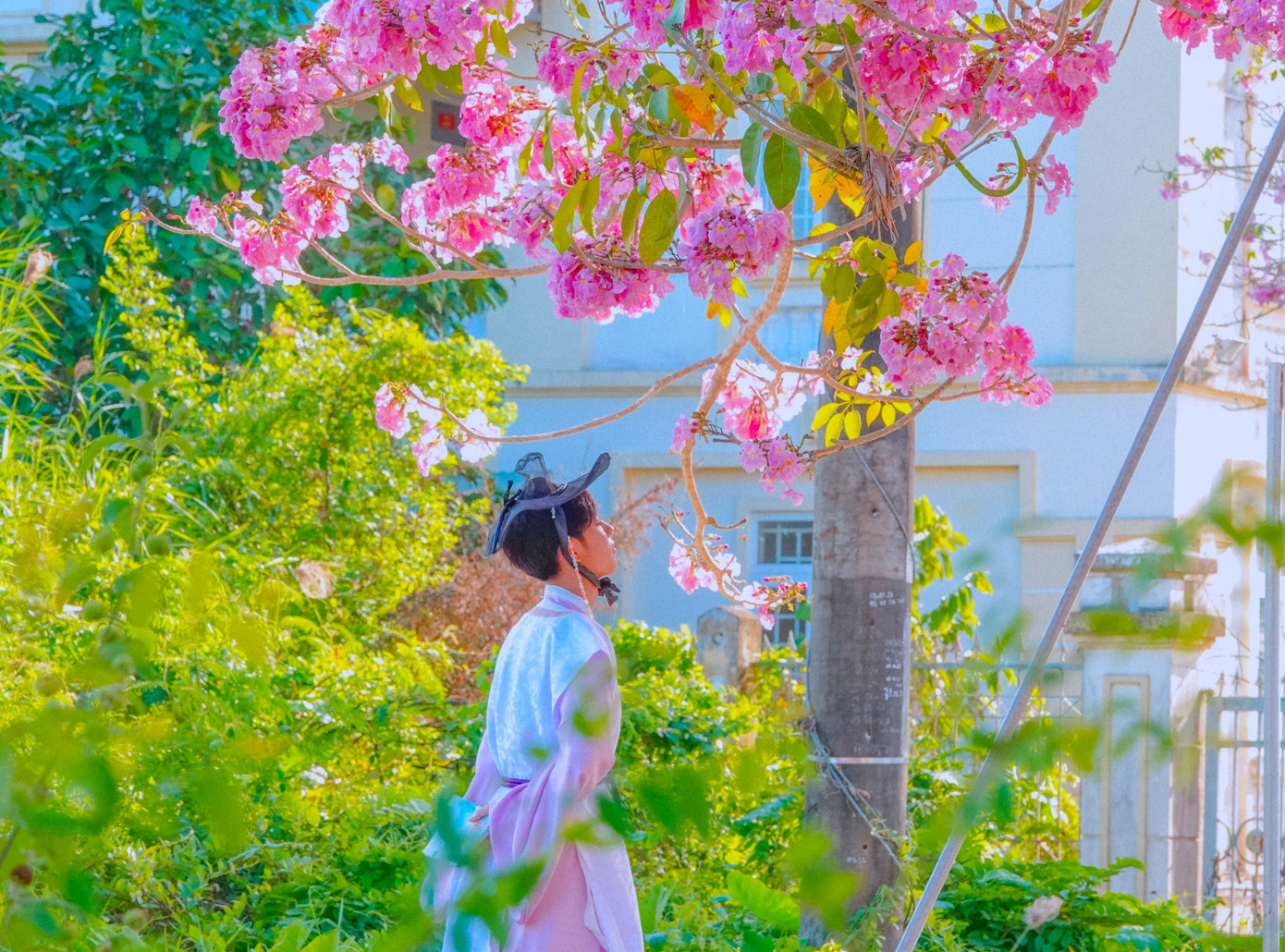 Không thể bỏ lỡ cảnh sắc tuyệt vời này, bạn Nguyễn Trung Tấn (19 tuổi, ngụ tỉnh Vĩnh Long) đã chi tiền thuê thợ, thuê quần áo cổ trang Hàn Quốc, rồi vượt hơn 70km từ Vĩnh Long đến Sóc Trăng để một lần hoá thân thành nhân vật trong phim. Không cần đi nước ngoài, tại miền Tây, Tấn cũng có được những bức ảnh “sống ảo” như đang ở Nhật Bản hay Hàn Quốc. Không thể bỏ lỡ cảnh sắc tuyệt vời này, bạn Nguyễn Trung Tấn (19 tuổi, ngụ tỉnh Vĩnh Long) đã chi tiền thuê thợ, thuê quần áo cổ trang Hàn Quốc, rồi vượt hơn 70km từ Vĩnh Long đến Sóc Trăng để một lần hoá thân thành nhân vật trong phim. Không cần đi nước ngoài, tại miền Tây, Tấn cũng có được những bức ảnh “sống ảo” như đang ở Nhật Bản hay Hàn Quốc.