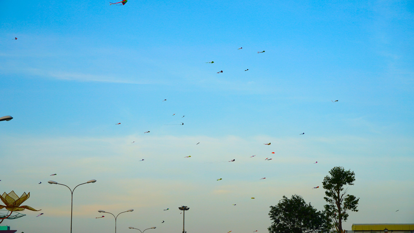 Những cánh diều bay rợp trời Tây Đô. Những cánh diều bay rợp trời Tây Đô.