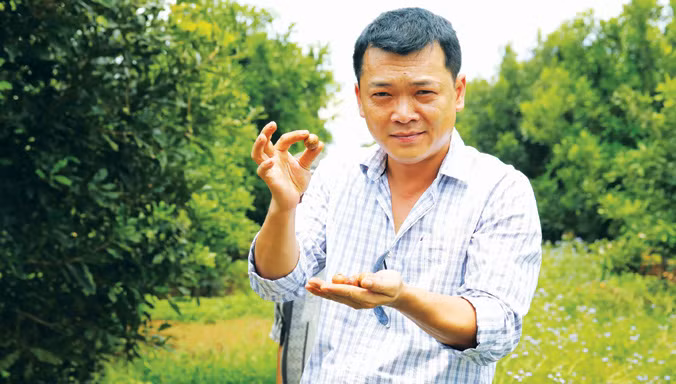 Mắc ca Việt Nam đang sống như thế nào? ảnh 2