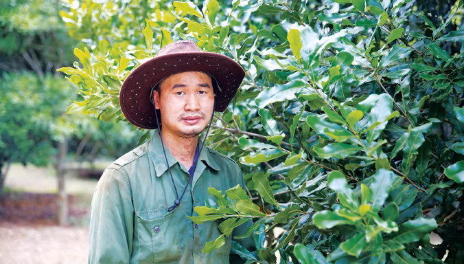 Mắc ca Việt Nam đang sống như thế nào? ảnh 3