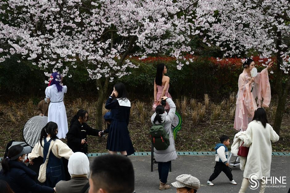 Nhiều người đứng chụp ảnh, quay phim hàng tiếng đồng hồ, ảnh hưởng đến việc ngắm cảnh của du khách tại công viên.