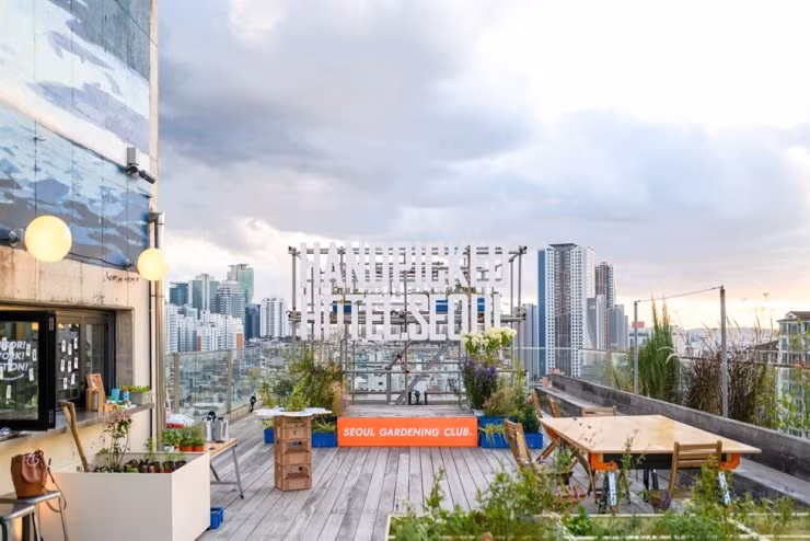 Không gian làm vườn xanh tươi giữa thành phố đông đúc. - Ảnh: Seoul Gardening Club