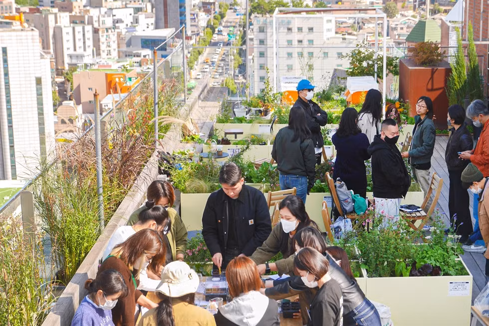 Các thành viên có thể trồng cây tại không gian làm vườn chung của câu lạc bộ. - Ảnh: Seoul Gardening Club