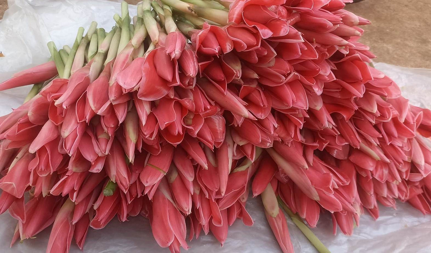 Búp hoa sen Đa Lộc được dùng thả lẩu có vị rất đặc biệt. (Ảnh: Thu Thương) Búp hoa sen Đa Lộc được dùng thả lẩu có vị rất đặc biệt. (Ảnh: Thu Thương)