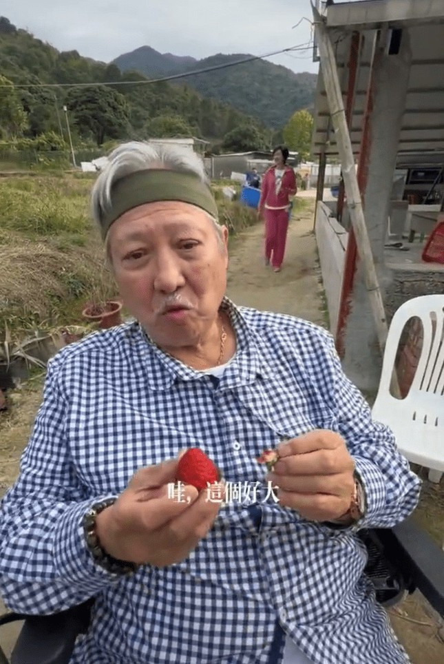 Ngôi sao Thục Sơn truyện mặc áo kẻ sọc, tóc hoa râm và ngồi xe lăn. Vợ ông, bà Cao Lệ Hồng vẫn theo sát kề cạnh. Ảnh: Sohu. Ngôi sao Thục Sơn truyện mặc áo kẻ sọc, tóc hoa râm và ngồi xe lăn. Vợ ông, bà Cao Lệ Hồng vẫn theo sát kề cạnh. Ảnh: Sohu.