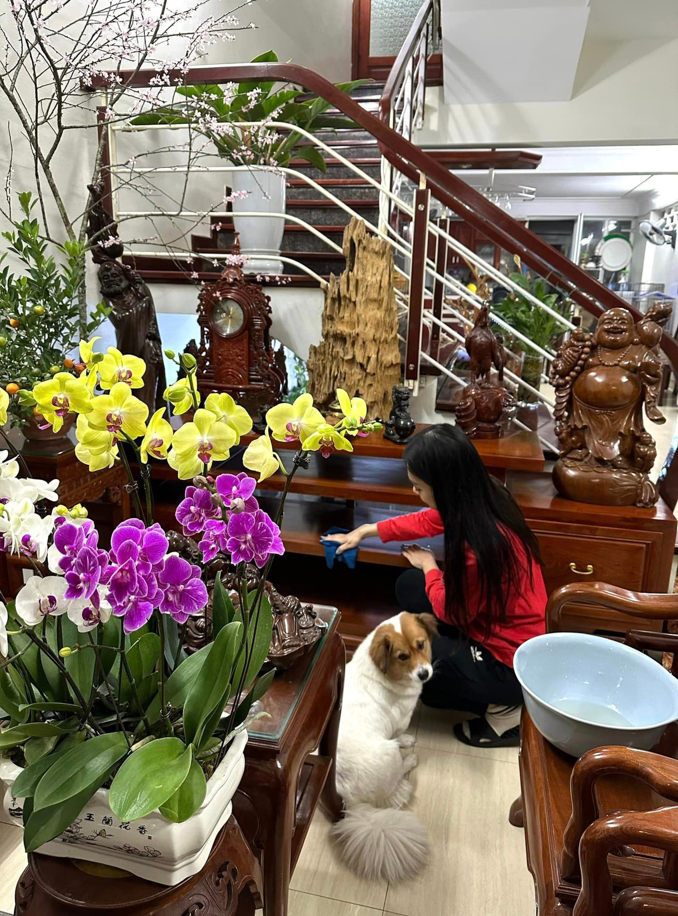 Á hậu Trịnh Thùy Linh thu xếp thời gian về nhà sớm trong dịp Tết. Cô dọn dẹp, chăm chút từng góc nhỏ trong căn nhà. Linh là con một trong gia đình nhưng luôn chủ động giúp đỡ bố mẹ làm việc nhà. Á hậu Trịnh Thùy Linh thu xếp thời gian về nhà sớm trong dịp Tết. Cô dọn dẹp, chăm chút từng góc nhỏ trong căn nhà. Linh là con một trong gia đình nhưng luôn chủ động giúp đỡ bố mẹ làm việc nhà.