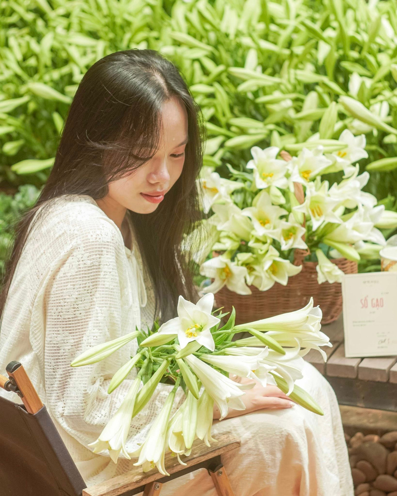 Hoa loa kèn thường chỉ nở vào cuối tháng 3, rực rỡ nhất đầu tháng 4 và chỉ kéo dài chưa đầy một tháng. Những cô gái đôi mươi bẽn lẽn bên bó hoa mới tạo nên một khung cảnh vừa nên thơ, vừa lắng đọng.