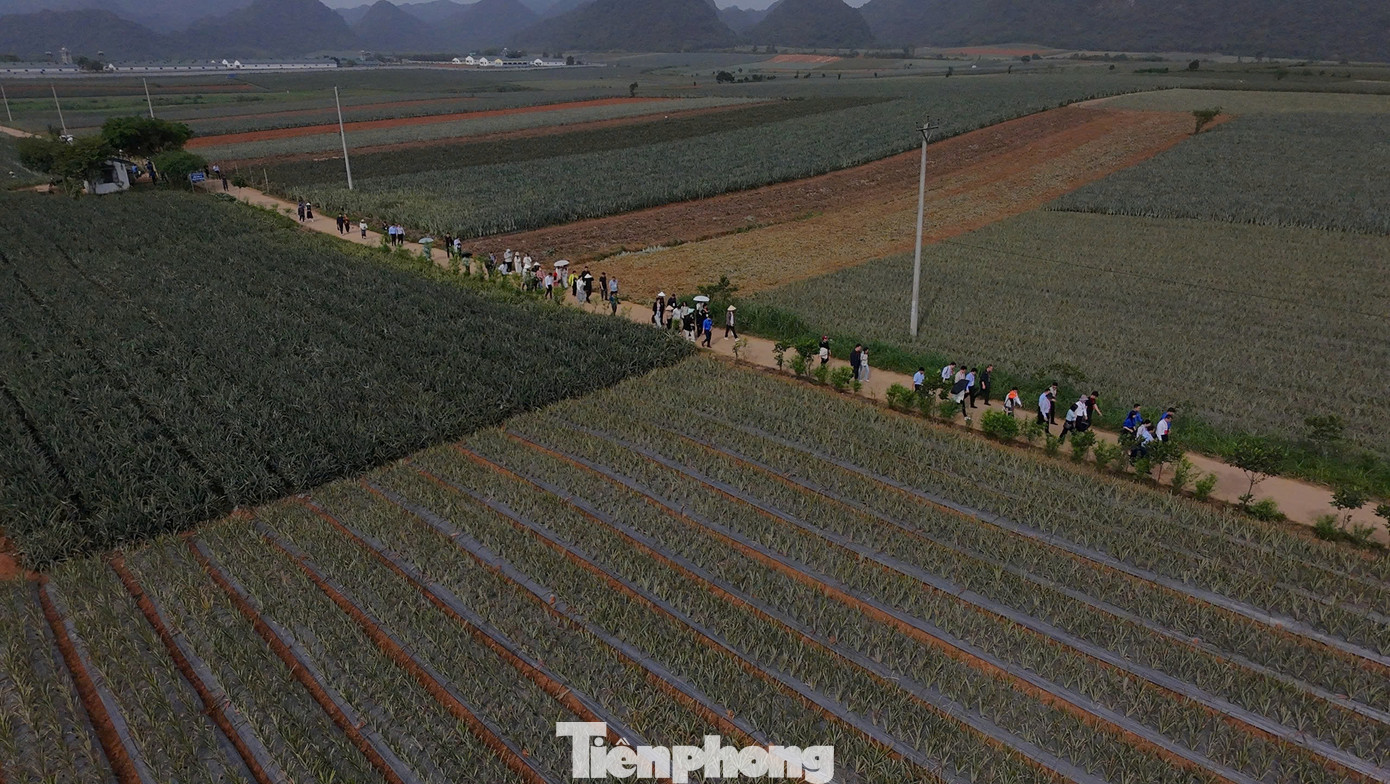 Trong khuôn khổ chuyến tham quan, đoàn đại biểu thanh niên Trung Quốc cũng có dịp tìm hiểu về quy trình sản xuất, nhân lực lao động trẻ tại Công ty Cổ phần Thực phẩm xuất khẩu Đồng Giao.