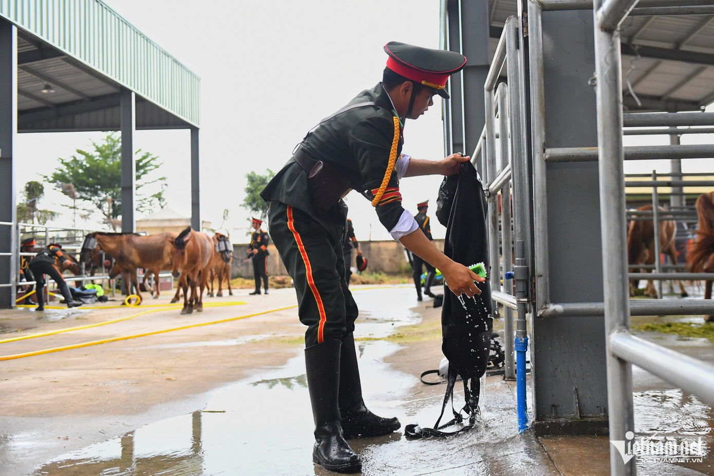 21 cán bộ chăn nuôi, thú y đi cùng đoàn để chăm sóc sức khỏe, dinh dưỡng cho đoàn ngựa kỵ binh. 21 cán bộ chăn nuôi, thú y đi cùng đoàn để chăm sóc sức khỏe, dinh dưỡng cho đoàn ngựa kỵ binh.