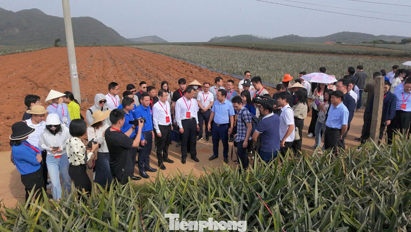 Trong khuôn khổ chuyến tham quan, đoàn đại biểu thanh niên Trung Quốc cũng có dịp tìm hiểu về quy trình sản xuất, nhân lực lao động trẻ tại Công ty Cổ phần Thực phẩm xuất khẩu Đồng Giao.