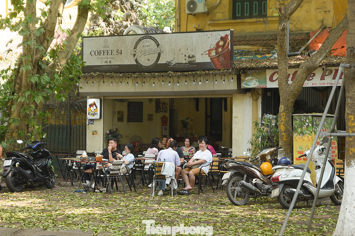 Người dân thảnh thơi trong quán cà phê có bóng mát tại phố Phan Đình Phùng.