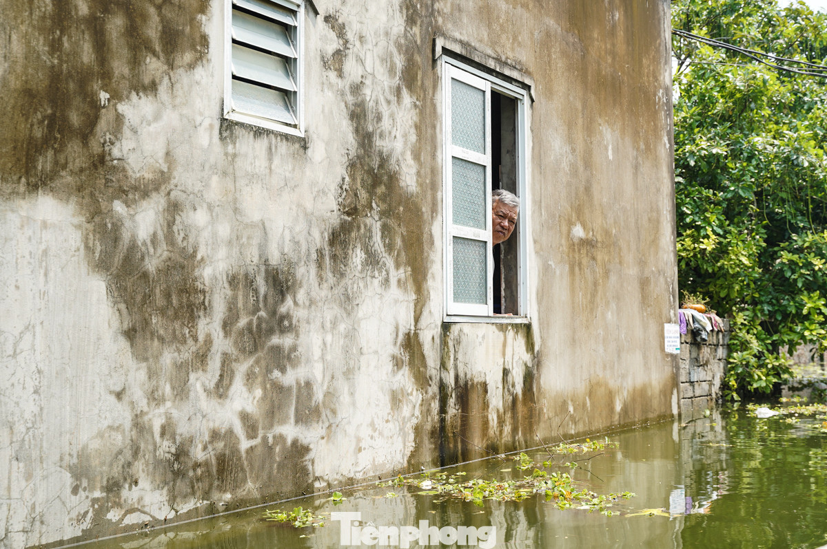 "Nhà tôi ngập sâu cả tuần nay không thể di chuyển ra ngoài được, ruộng đồng cũng không còn gì", ông Nguyễn Xuân Ơn than thở.