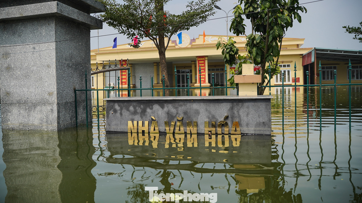 Nhà văn hoá thôn Phú Hiền ngập sâu.