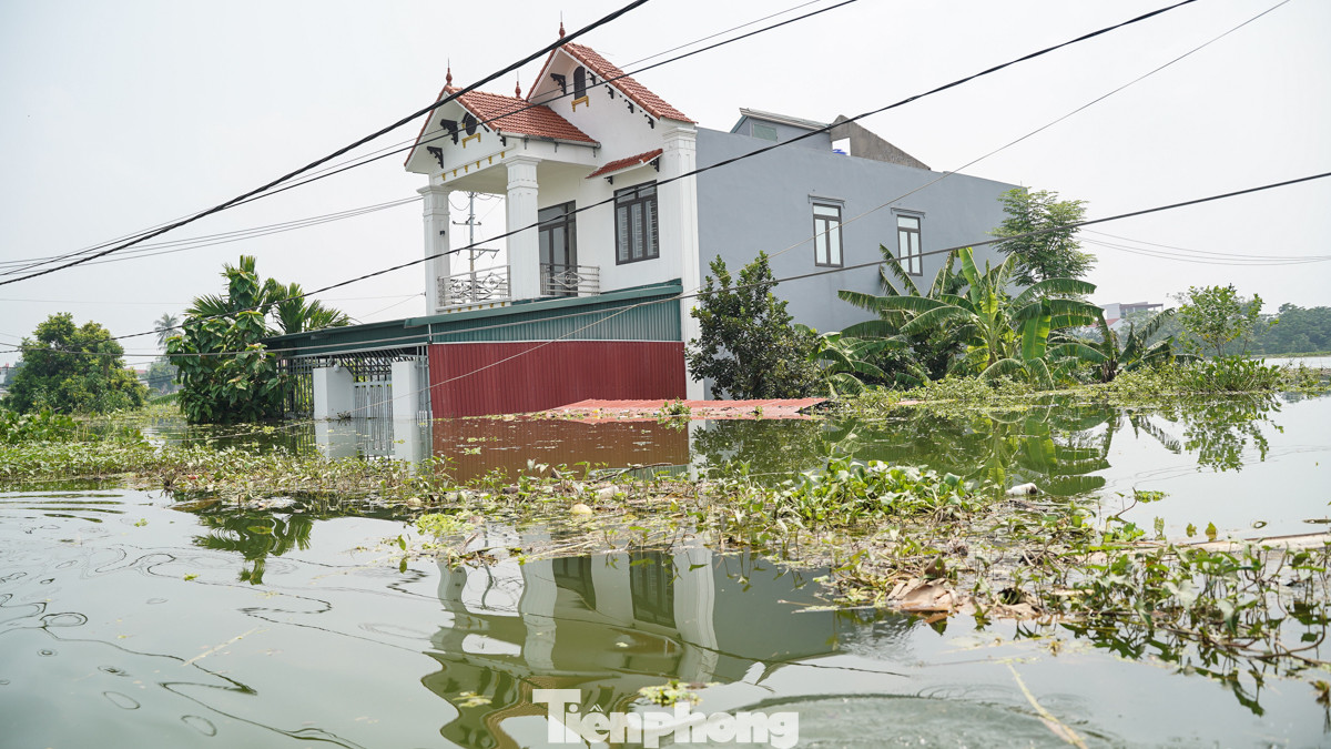 Nhiều tài sản, hoa màu, nông thủy sản trôi theo dòng nước, người dân thiệt hại nặng nề.