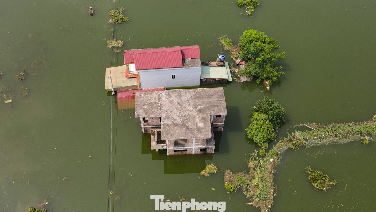 Thôn Phú Hiền nằm dọc hai bên bờ sông Mỹ Hà, nhiều nhà dân nước ngập cao, tầng 1 chìm nghỉm trong nước.