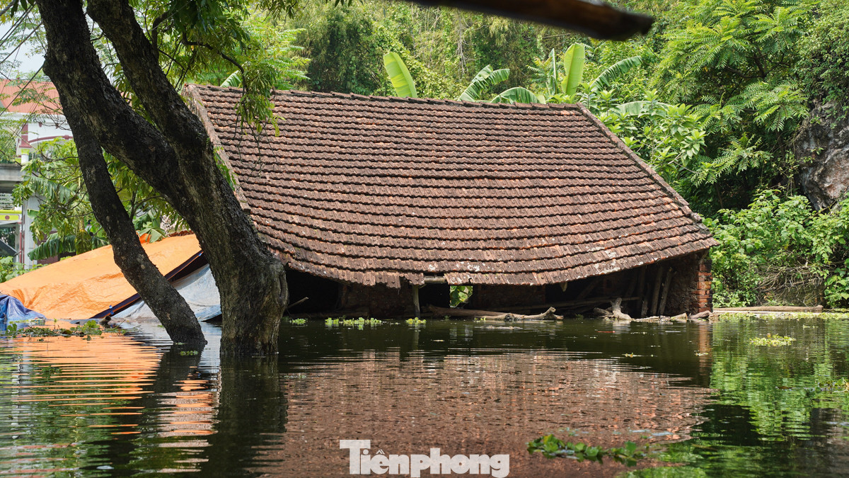 Mực nước dâng cao, buộc nhiều hộ dân phải di tản khẩn cấp đến an toàn, để lại nhà cửa trống không.