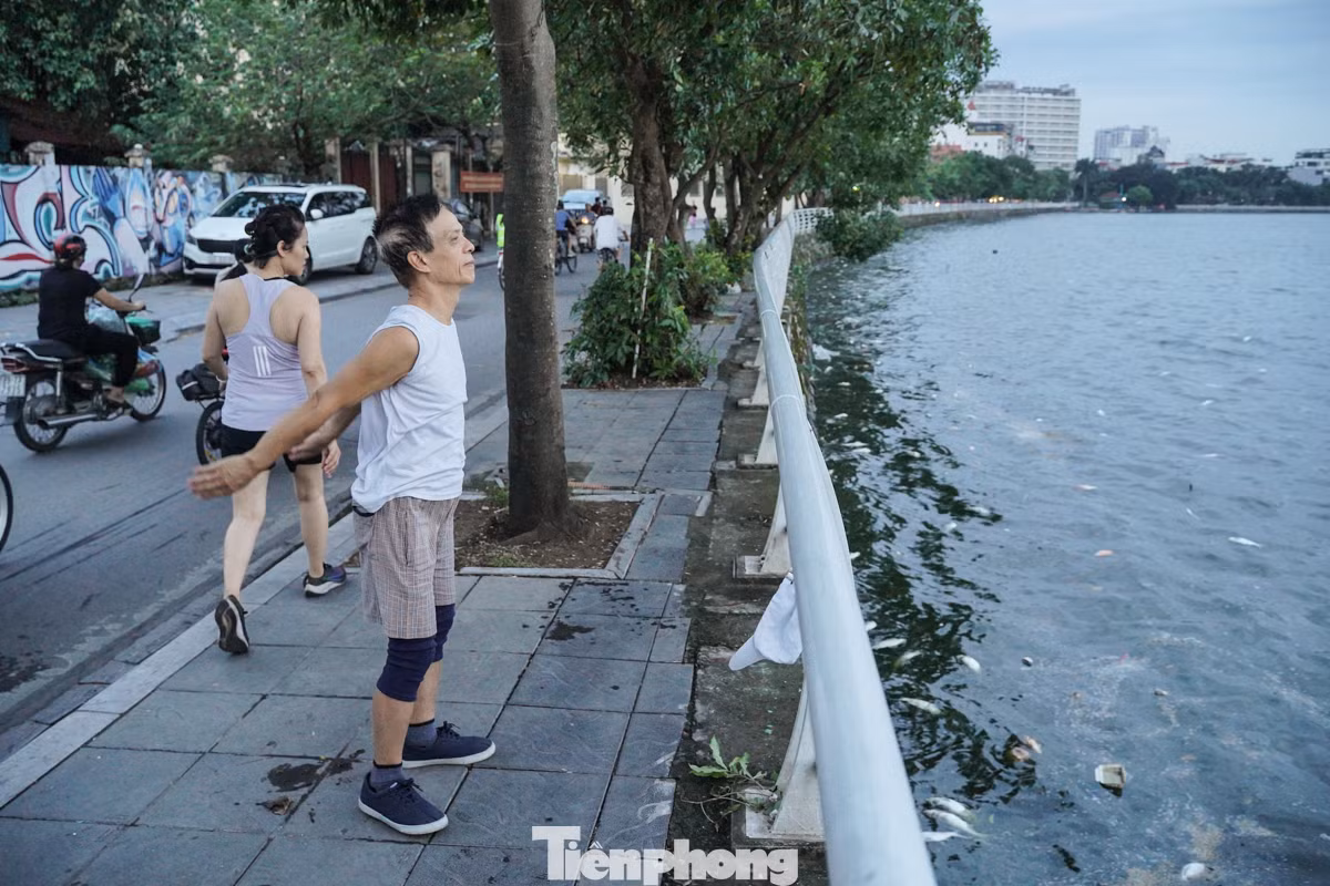 Ông Lê Văn Thành (quận Tây Hồ) cho biết, cá chết đã 1 tuần nay, ngày nào cũng thấy công nhân dọn dẹp. Tuy nhiên, đến đêm ngủ dậy thì lại thấy rất nhiều cá chết nổi khắp nơi, chúng tôi mong tình trạng này sớm được giải quyết".