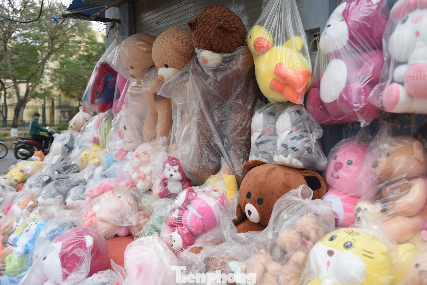 Gấu bông cũng là lựa chọn của nhiều người ngày Valentine.