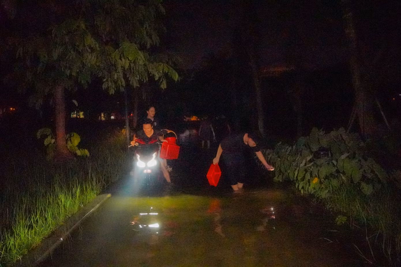 Thậm chí, có người còn chạy xe máy quanh công viên lúc gần nửa đêm, dùng đèn pha soi xuống mặt nước để bắt cá, tạo nên khung cảnh vừa lạ lẫm vừa khó tin giữa lòng Thủ đô.