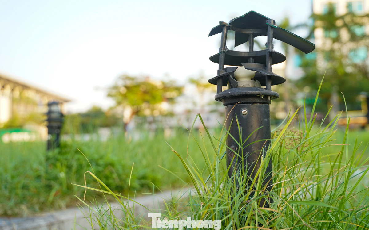 Hệ thống đèn lối đi tầm thấp đa số đã hư hỏng.