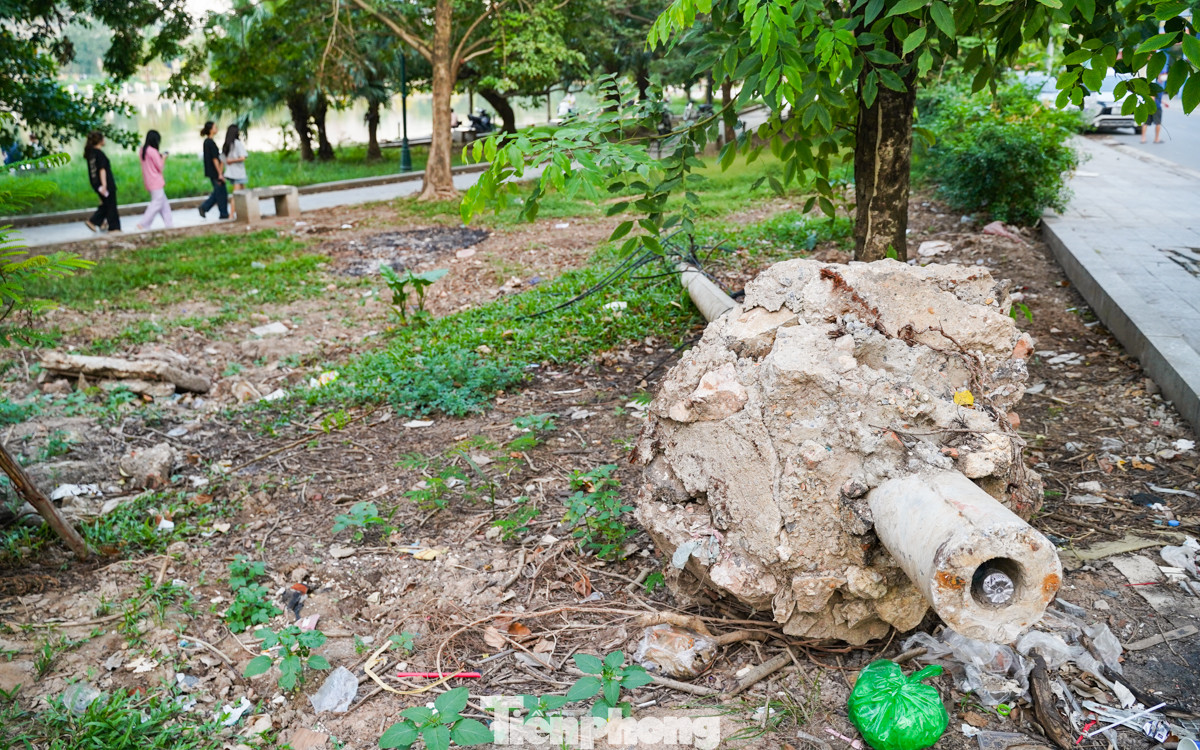 Cách đó không xa, một cây cột điện đổ do bão vẫn để im một chỗ.