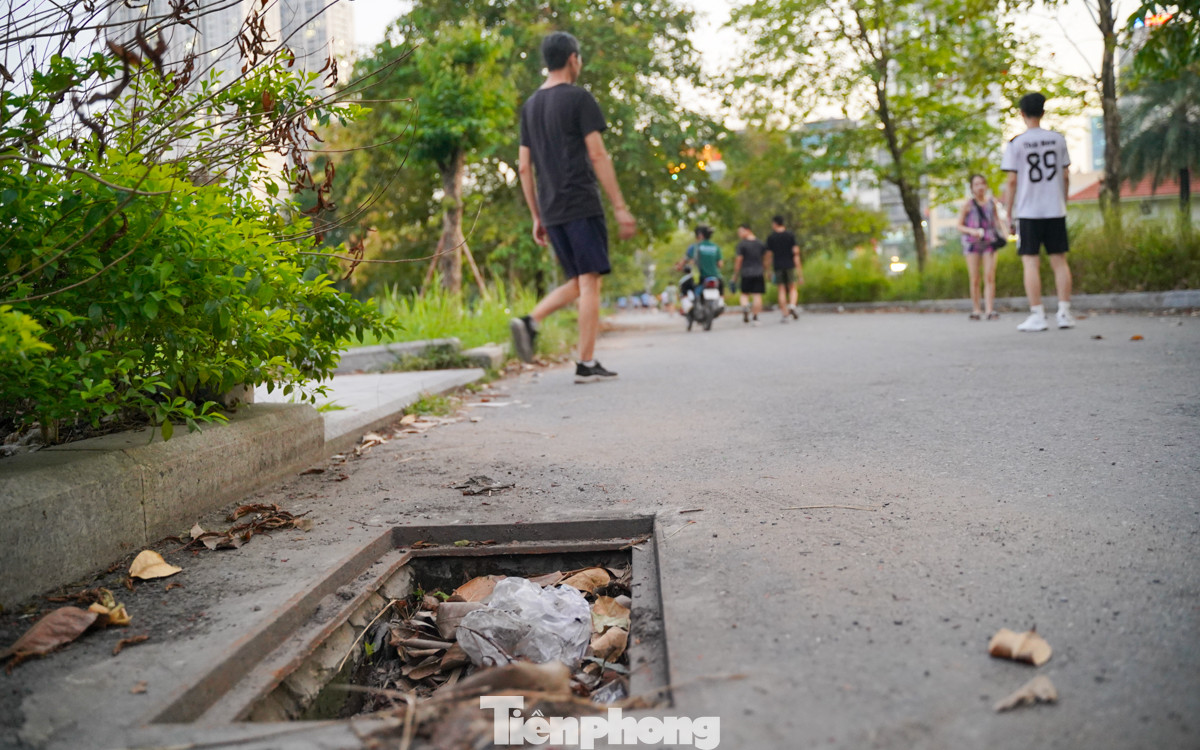 Một hố ga mất nắp nằm trong công viên.