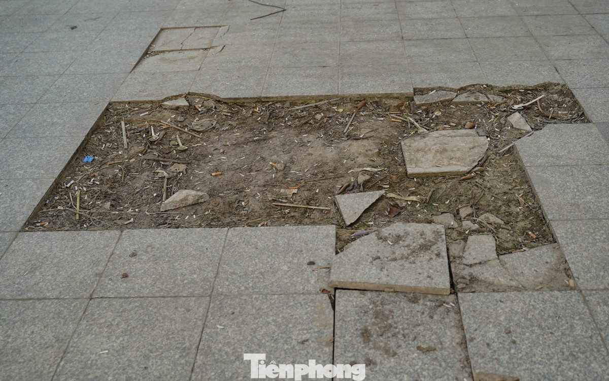 Nhiều đoạn gạch lát trong công viên bị vỡ thành các mảng lớn.