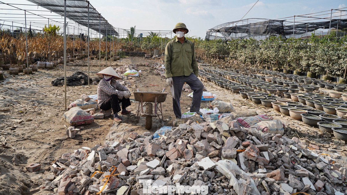 Vợ chồng ông Phạm Văn Ánh cố gắng dọn dẹp đống hoang tàn sau bão suốt 2 ngày qua.