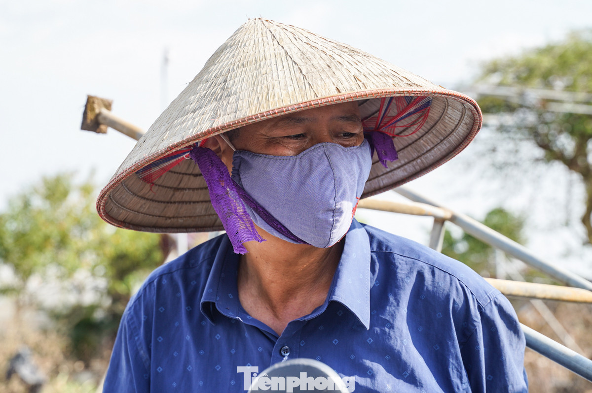 Nhiều người đau xót khi công sức cả năm nay chỉ còn vườn cây hoang tàn.