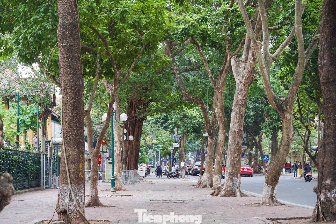 Phố Phan Đình Phùng vắng bóng các 'nàng thơ'.