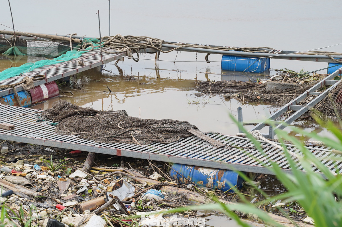 Sản xuất nông, lâm nghiệp và thủy sản chịu thiệt hại sau bão.