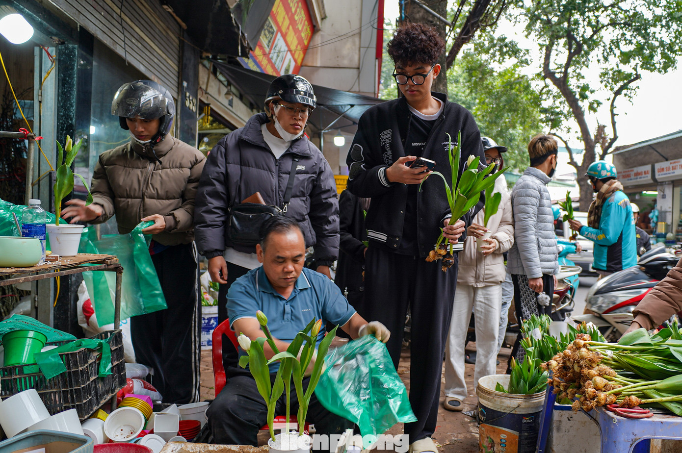 Không chỉ hoa sáp hay hoa hồng, năm nay hoa tulip trồng trong chậu trở thành xu hướng được giới trẻ yêu thích, giá từ 25.000 - 30.000 đồng/bông. Tại nhiều cửa hàng, không ít bạn nam xếp hàng dài để lựa chọn loài hoa đặc biệt này.