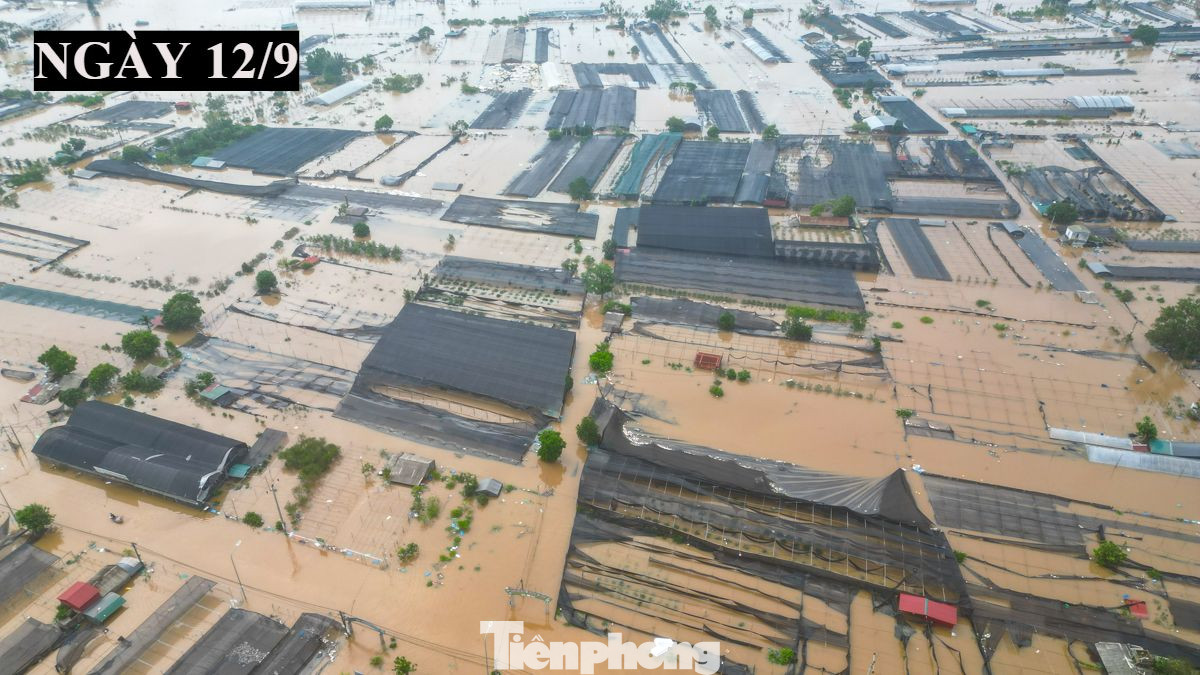 Ảnh so sánh làng hoa Phụng Công vào ngày nước lên cao (ngày 12/9) và hiện tại khi nước rút (ngày 18/9).