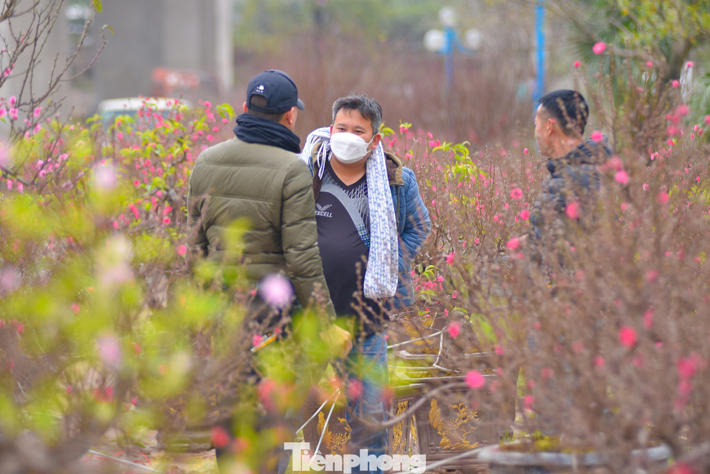 Làng đào Phú Thượng (quận Tây Hồ) nhộn nhịp người mua bán từ sáng đến tối. Năm nay, đào cành nhỏ và vừa bán tại vườn có giá từ 150.000 đồng đến 400.000 đồng, cành to khoảng 1.000.000-4.000.000 đồng.